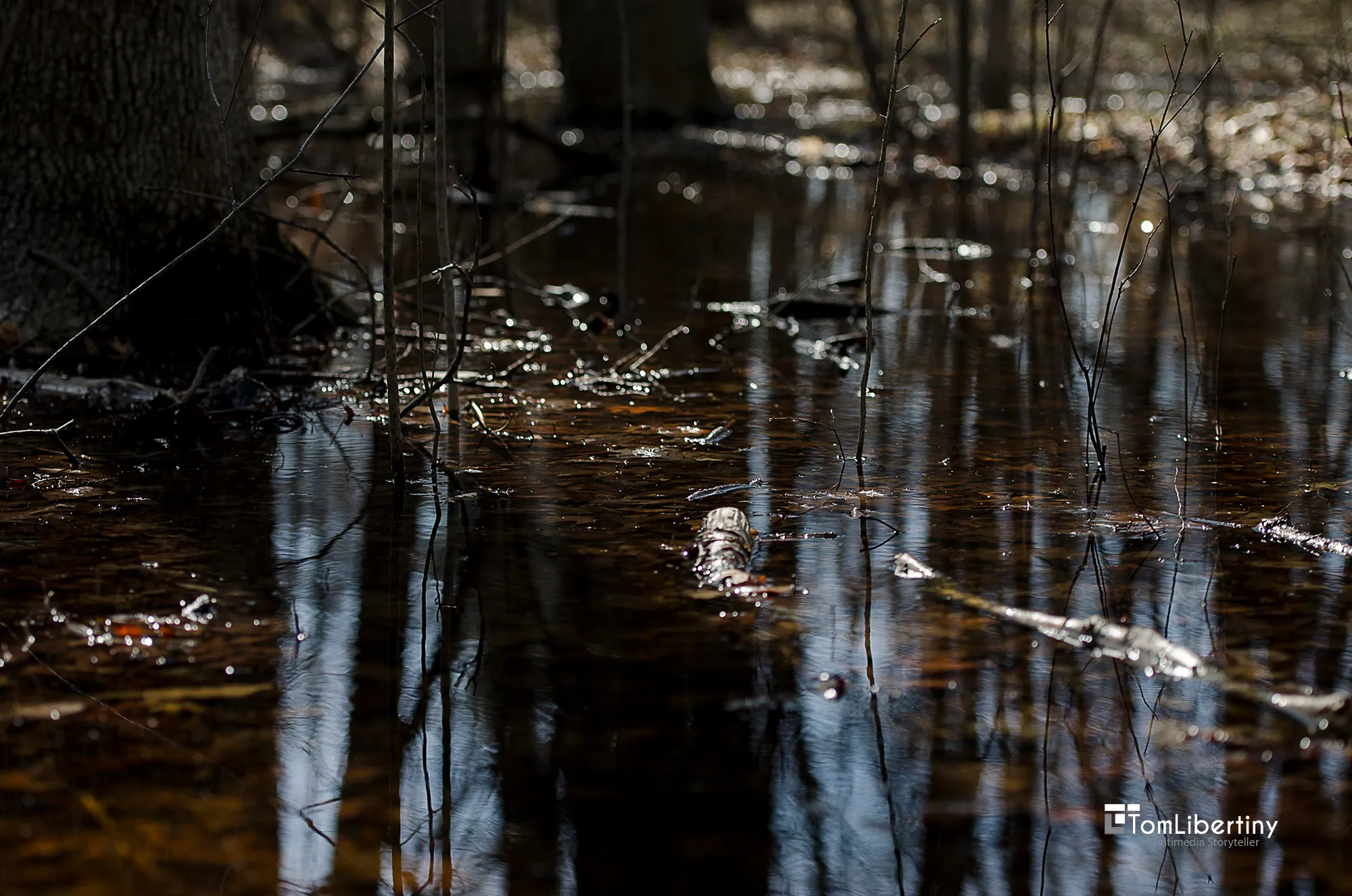Tom Libertiny, Carpenter Lake Nature Preserve